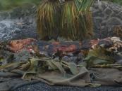 Chief's Luau Chief